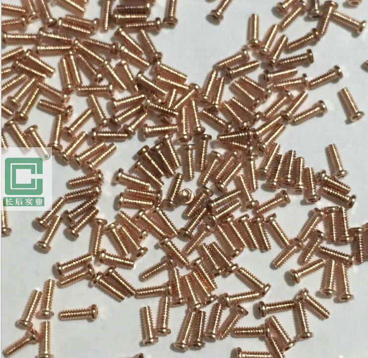 穿戴螺絲PVD真空電鍍