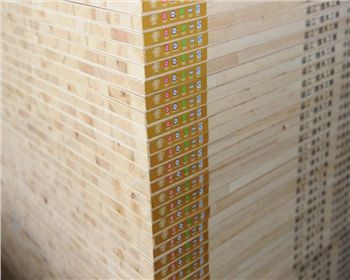 給大家簡述一下細木工板的一些知識，趕快來學習吧！